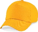 PS_B10_GOLD.webp