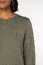 NS333-6_2025.webp